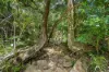 Lot 76 Rice Road, Lyons, Qld 4124-Image