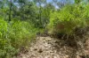 Lot 76 Rice Road, Lyons, Qld 4124-Image