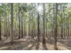 Lot 774 Caves Road, Yallingup, WA 6282-Image