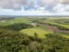 Lot 8/24 Petersen Road, Koumala QLD 4738-Image