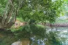 Lot 8/24 Petersen Road, Koumala QLD 4738-Image