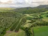 Lot 8/24 Petersen Road, Koumala QLD 4738-Image