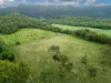 Lot 8/24 Petersen Road, Koumala QLD 4738-Image