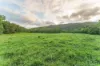 Lot 8/24 Petersen Road, Koumala QLD 4738-Image