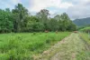 Lot 8/24 Petersen Road, Koumala QLD 4738-Image