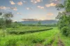 Lot 8/24 Petersen Road, Koumala QLD 4738-Image