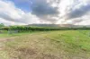 Lot 8/24 Petersen Road, Koumala QLD 4738-Image