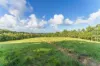 Lot 8/24 Petersen Road, Koumala QLD 4738-Image