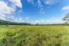 Lot 8/24 Petersen Road, Koumala QLD 4738-Image