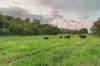 Lot 8/24 Petersen Road, Koumala QLD 4738-Image