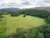 Lot 8/24 Petersen Road, Koumala QLD 4738-Image