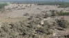 Lot 8 Bangham Road, Bangham, SA 5268-Image