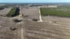 Lot 8 Bangham Road, Bangham, SA 5268-Image