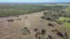 Lot 8 Bangham Road, Bangham, SA 5268-Image