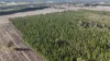 Lot 8 Bangham Road, Bangham, SA 5268-Image
