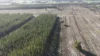 Lot 8 Bangham Road, Bangham, SA 5268-Image