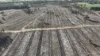 Lot 8 Bangham Road, Bangham, SA 5268-Image