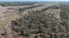 Lot 8 Bangham Road, Bangham, SA 5268-Image