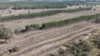 Lot 8, Bangham SA 5268-Image
