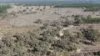 Lot 8, Bangham SA 5268-Image