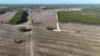 Lot 8, Bangham SA 5268-Image