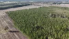 Lot 8, Bangham SA 5268-Image