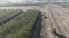 Lot 8, Bangham SA 5268-Image