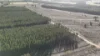 Lot 8, Bangham SA 5268-Image