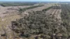 Lot 8, Bangham SA 5268-Image