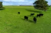 Lot 91 Uphills Road, Kongorong, SA 5291