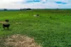 Lot 91 Uphills Road, Kongorong, SA 5291-Image