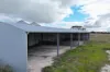 Lot 91 Uphills Road, Kongorong, SA 5291-Image