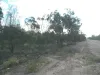 Lot 92 Machaness Road, Tara, Qld 4421