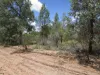 Lot 92 Machaness Road, Tara, Qld 4421-Image