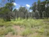 Lot 92 Machaness Road, Tara, Qld 4421-Image