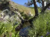 Lot 96 Horrocks Highway, Wilmington, SA 5485-Image