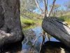 Lot 96 Horrocks Highway, Wilmington, SA 5485-Image