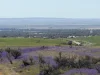 Lot 96 Horrocks Highway, Wilmington, SA 5485-Image