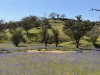 Lot 96 Horrocks Highway, Wilmington, SA 5485-Image