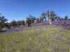 Lot 96 Horrocks Highway, Wilmington, SA 5485-Image