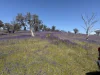 Lot 96 Horrocks Highway, Wilmington, SA 5485-Image