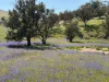Lot 96 Horrocks Highway, Wilmington, SA 5485-Image