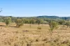 Lot 96 Middle Creek - Cooyar Road, Pimpimbudgee QLD 4615-Image