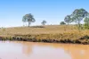 Lot 96 Middle Creek - Cooyar Road, Pimpimbudgee QLD 4615-Image