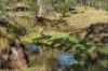Lot 96 Middle Creek - Cooyar Road, Pimpimbudgee QLD 4615-Image