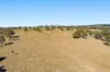 Lot 96 Middle Creek - Cooyar Road, Pimpimbudgee QLD 4615-Image