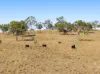 Lot 96 Middle Creek - Cooyar Road, Pimpimbudgee QLD 4615-Image