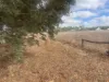 Lot 9678 Geraldton Mount Magnet Road, Wicherina, WA 6532