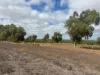 Lot 9678 Geraldton Mount Magnet Road, Wicherina, WA 6532-Image