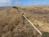 Lot 9678 Geraldton Mount Magnet Road, Wicherina, WA 6532-Image